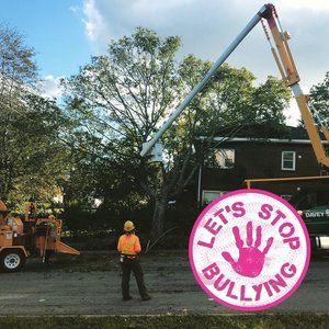 Meet your Posher, Alison